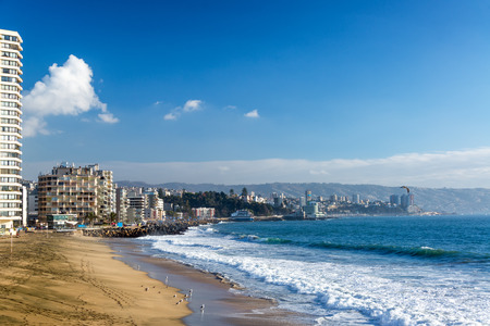 Beach with Sea Gulls in Vina del Mar, Chileの写真素材