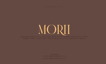 Luxury Elegant alphabet letters font. classic modern serif lettering minimal fashion Premium Vectorのイラスト素材