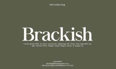 Elegant alphabet letter font. typography luxury classic serif fonts decorative vintage retro Premium Vectorのイラスト素材