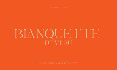 Modern abstract digital alphabet font. Minimal technology typography, Creative urban sport fashion futuristic font and with numbers. vector illustrationのイラスト素材