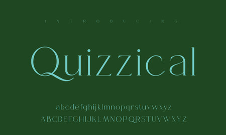 Vector serif font in modern style with uppercase, lowercase, numbers and symbolsのイラスト素材