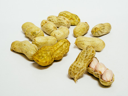 Peanut isolated on white backgroundの写真素材