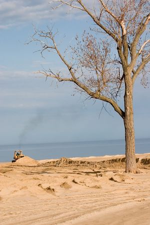 Bulldozer leveling the sand on a beach with lone treeの写真素材