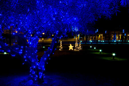 Original Christmas olive-tree lighting made with blue Christmas lightsの写真素材