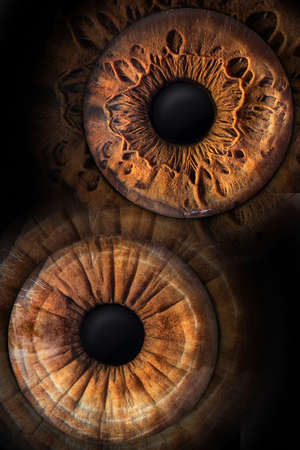 photo of two eyes taken in macro mode, of different people and same color
