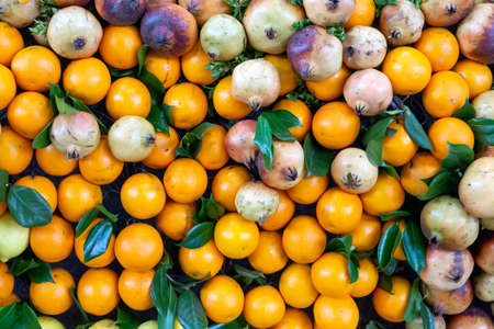 group of oranges and pomegranates photographed close upの写真素材