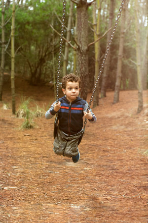 cute child on swing in forestの写真素材