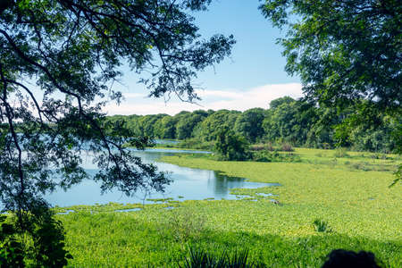 photo of Lake in Costanera Sur Ecological Reserve, Buenos Aires, Argentina