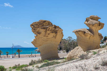 View of capricious forms produced by erosion in the forest next to Bolnuevo beach, MazarrÃ³n, Murcia, Spainの写真素材