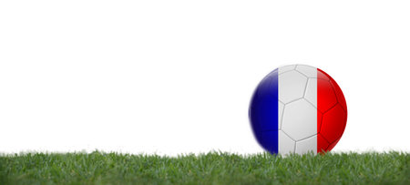 3D illustration Soccer ball with france flag on grass, copy space with white background.の写真素材