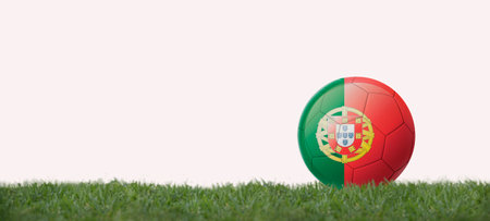 3D illustration Soccer ball with portugal flag on grass, copy space with white background.の写真素材