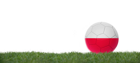 3D illustration Soccer ball with poland flag on grass, copy space with white background.の写真素材