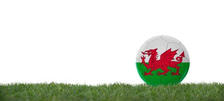3D illustration Soccer ball with wales flag on grass, copy space with white background.の写真素材