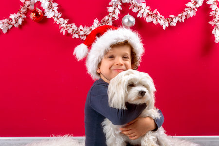 boy with santa claus hat hugging his doggyの写真素材