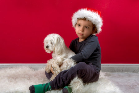 photo of boy with santa claus hat hugging his puppyの写真素材