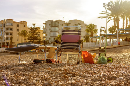 Beach chairs and sunbeds on the seashore.の写真素材