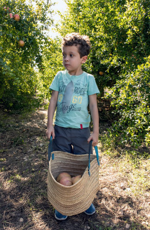 Nature's Generosity. A Child Harvesting Fruits from the Fieldの写真素材