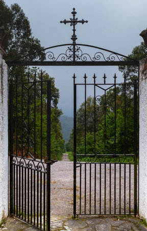 Open gate leading to path in forestの写真素材