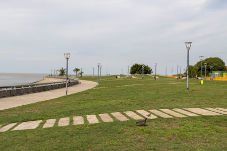 panoramic view of park by the rio de la plata in argentinaの写真素材