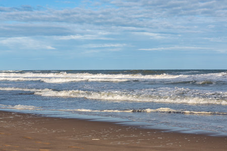 photography of sandy beach with wavesの写真素材