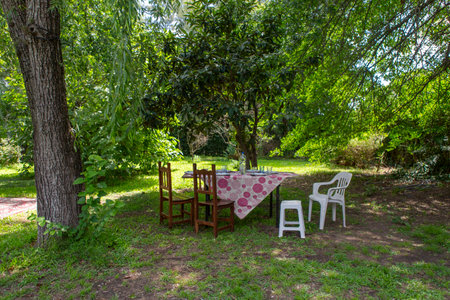 shade tree in the garden, and table ready to eat.の写真素材