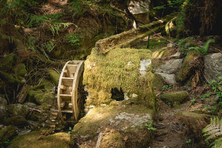 Water wheel on the Ladder Creek Falls Trail in North Cascades National Park.の写真素材