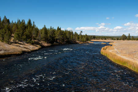 German Shepherdの写真素材