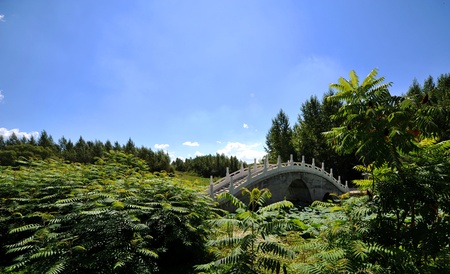 Sky, bridges, lotus pondの写真素材