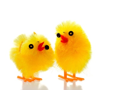 Macro shot of two easter chicks on white 