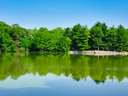 Gorgeous Lake Landscape with Luscious Green Trees on the Bank and Reflected in the Water with Bright Blue Skyの写真素材