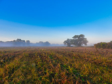 Recently Mowed Prairie at Morning Sunrise with Blue Clear Sky with a Touch of Pink with Some Mist Fog in Landscape Scenic Viewの写真素材