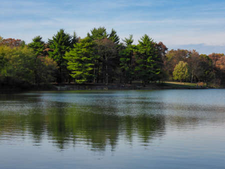 Pine Trees and Fall Colored Trees Line Lake Shore on Beautiful October Day Autumn Landscape Viewの写真素材