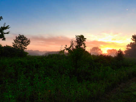 Sunrise Over the Prairie at Dawn with Brilliant Yellow and Orange Sun Coming Through Trees on a Summer Morning Lighting Up Various Trees, Bushes, Grass and Wildflowersの写真素材