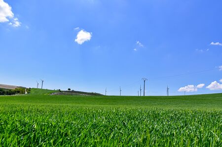 blue sky with nice clouds over the green meadowの写真素材