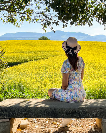female model posing in a rapeseed field in Spainの写真素材