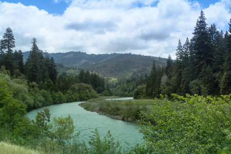 the eel river run thru in California Redwood park areas with blue and cloudy skyの写真素材