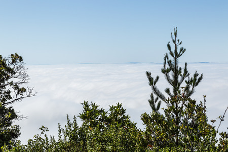 View of the San Francsico bay area cover by heavy fog under a blue sunny day. From the top of Mountain Tamalpais in Marin Countyの写真素材