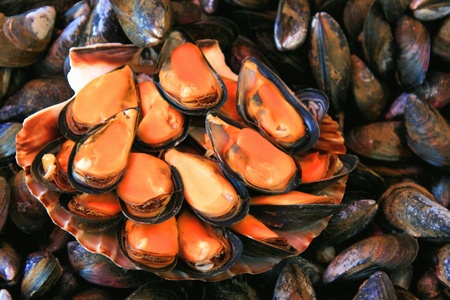 Tasting of mussels