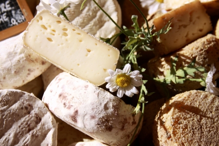 Cheeses in Savoy