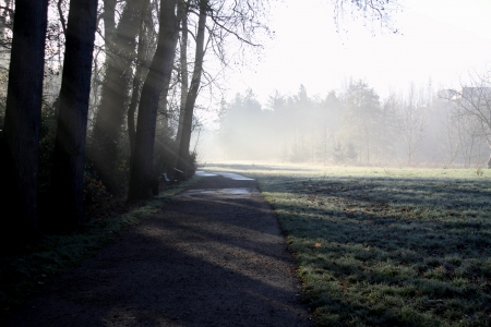 Landscapes of autumn and mist to Yerresの写真素材