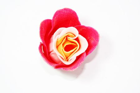 Red Roseの写真素材