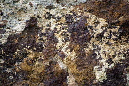 Close up detail of the texture of a rock with mottled colors