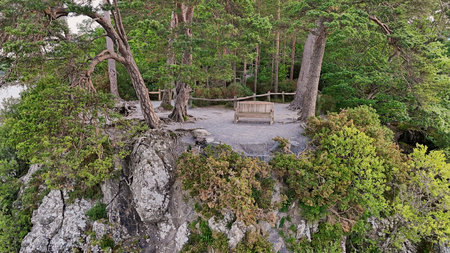 Scenic overlook with a wooden bench surrounded by lush green trees and foliage, ideal for relaxation and enjoying nature&apos;s beauty.の写真素材