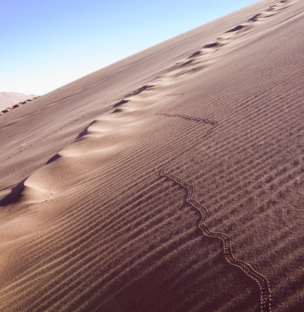 Footprints of a beetle on the dunes of Sossusvlei in Namibiaの写真素材