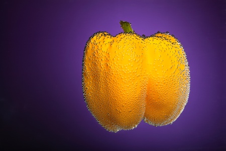 Yellow capsicum or pepper on purple background 