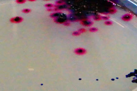 Diffusion Rates