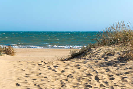 Typical access road to the beach created by the fine sand dunes in southern Spain.の写真素材