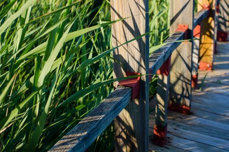 Detail of wooden walkway in the middle of nature. Accessibility. Tablas de Daimiel National Park. Spain.の写真素材