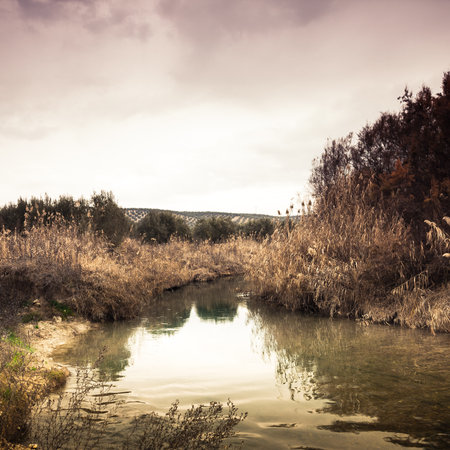 Autumn landscape with a small river in the forest. Toned.の写真素材