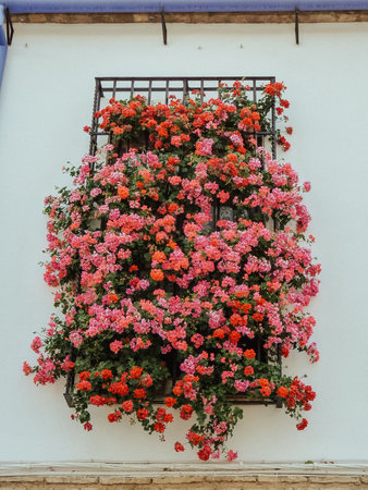 Flowers in a window of an old house in Ronda, Spainの写真素材